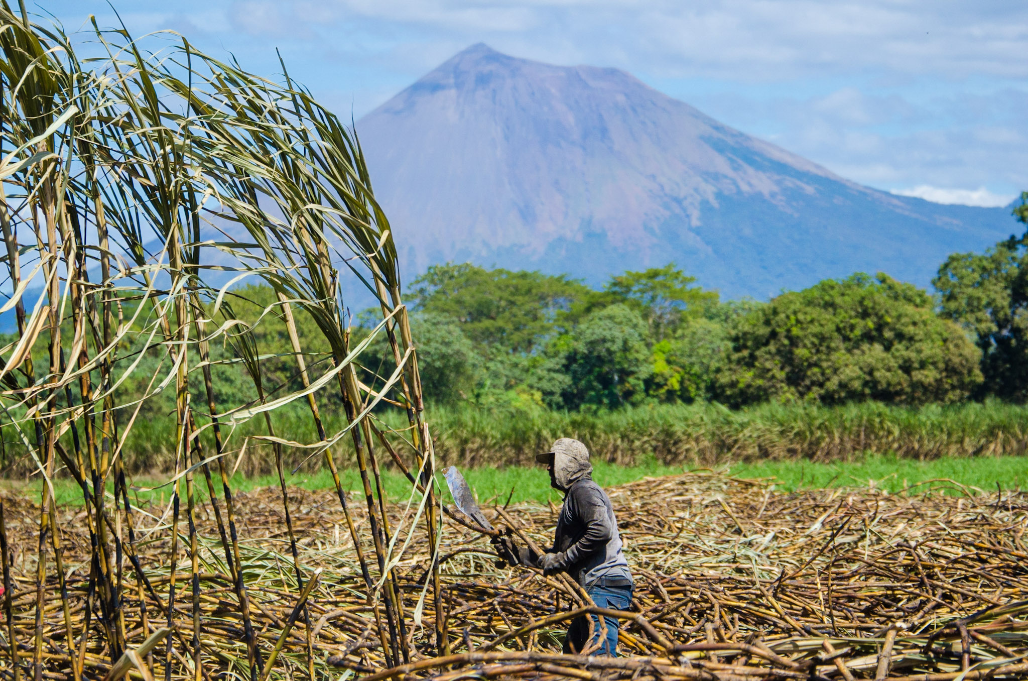 Worker in field © Joe Woodruff for Bonsucro