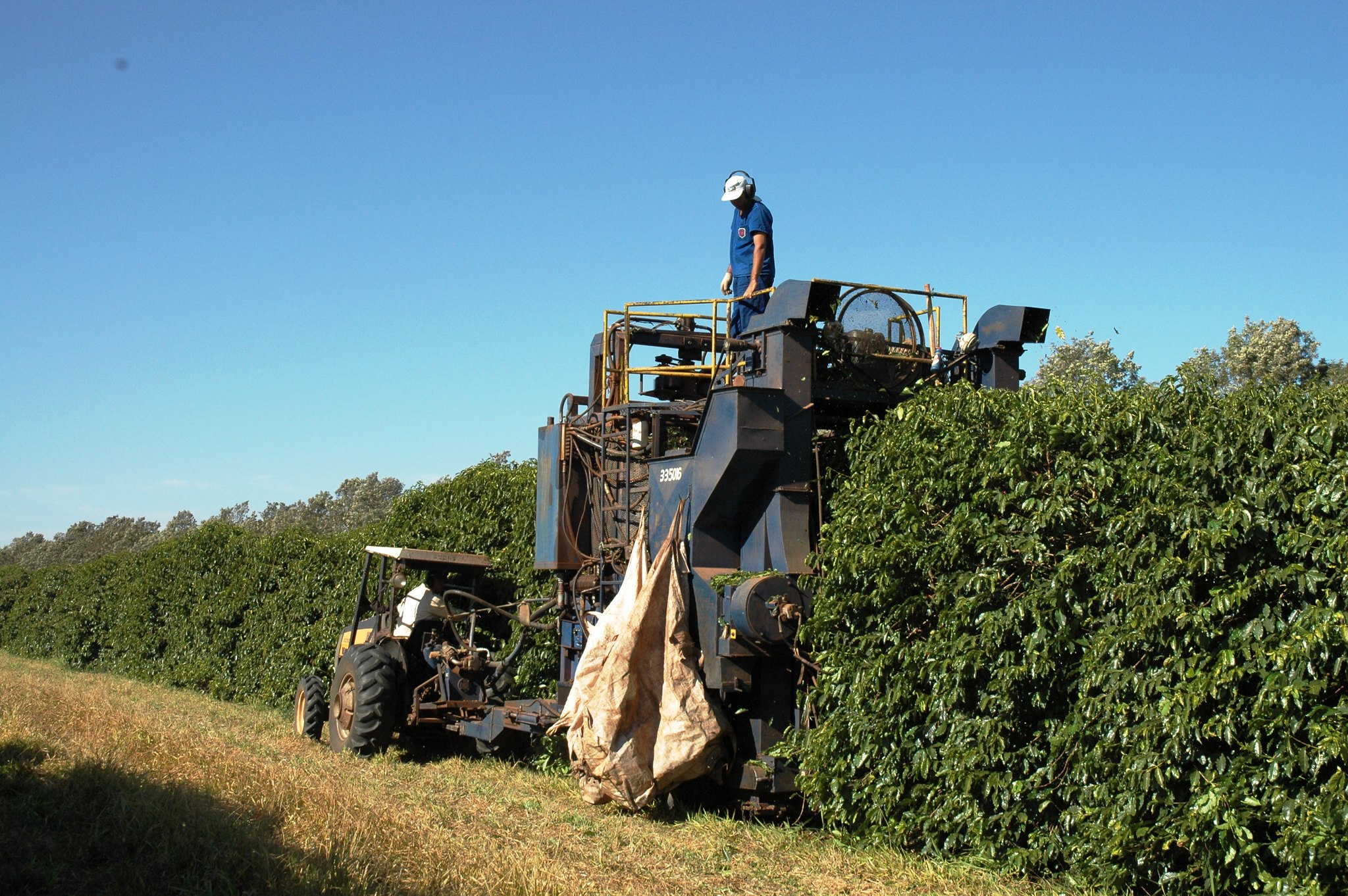 Coffee harvesting machine in Brazil © Rainforest Alliance