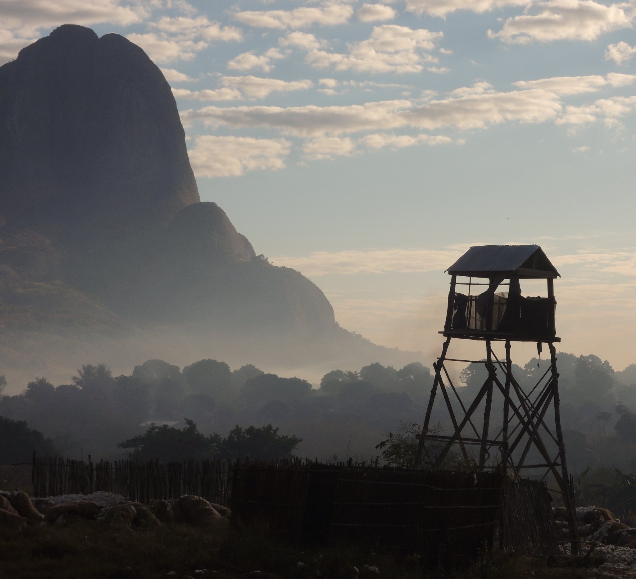 Cotton field with water tower © Better Cotton Initiative