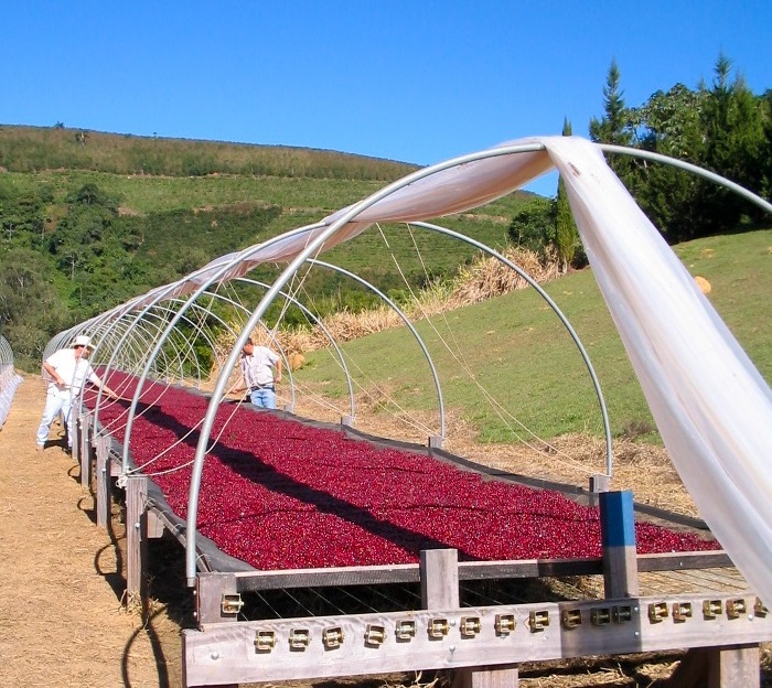 Drying coffee beans in Brazil © UTZ CERTIFIED