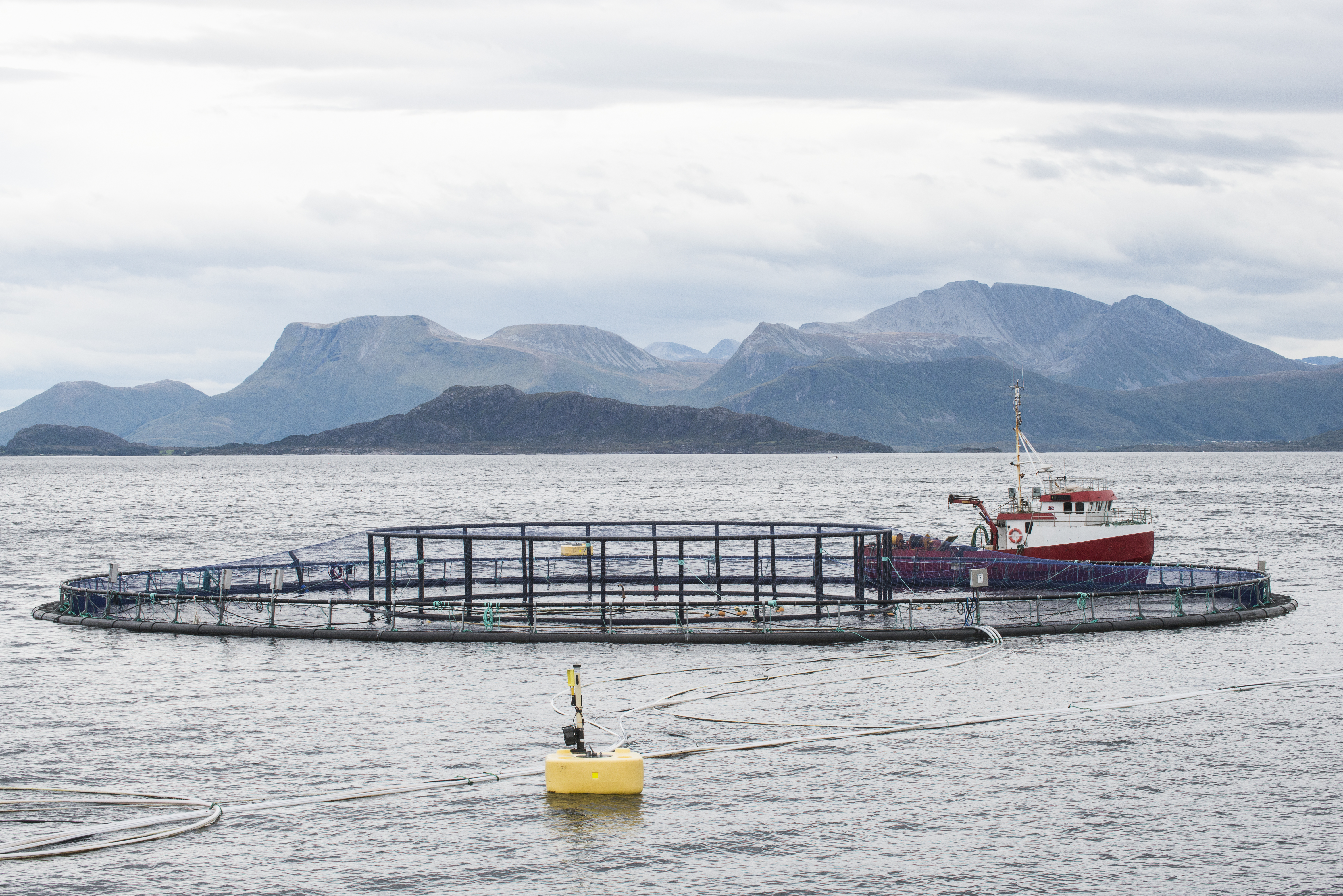 Salmon farm Marine Harvest © ASC