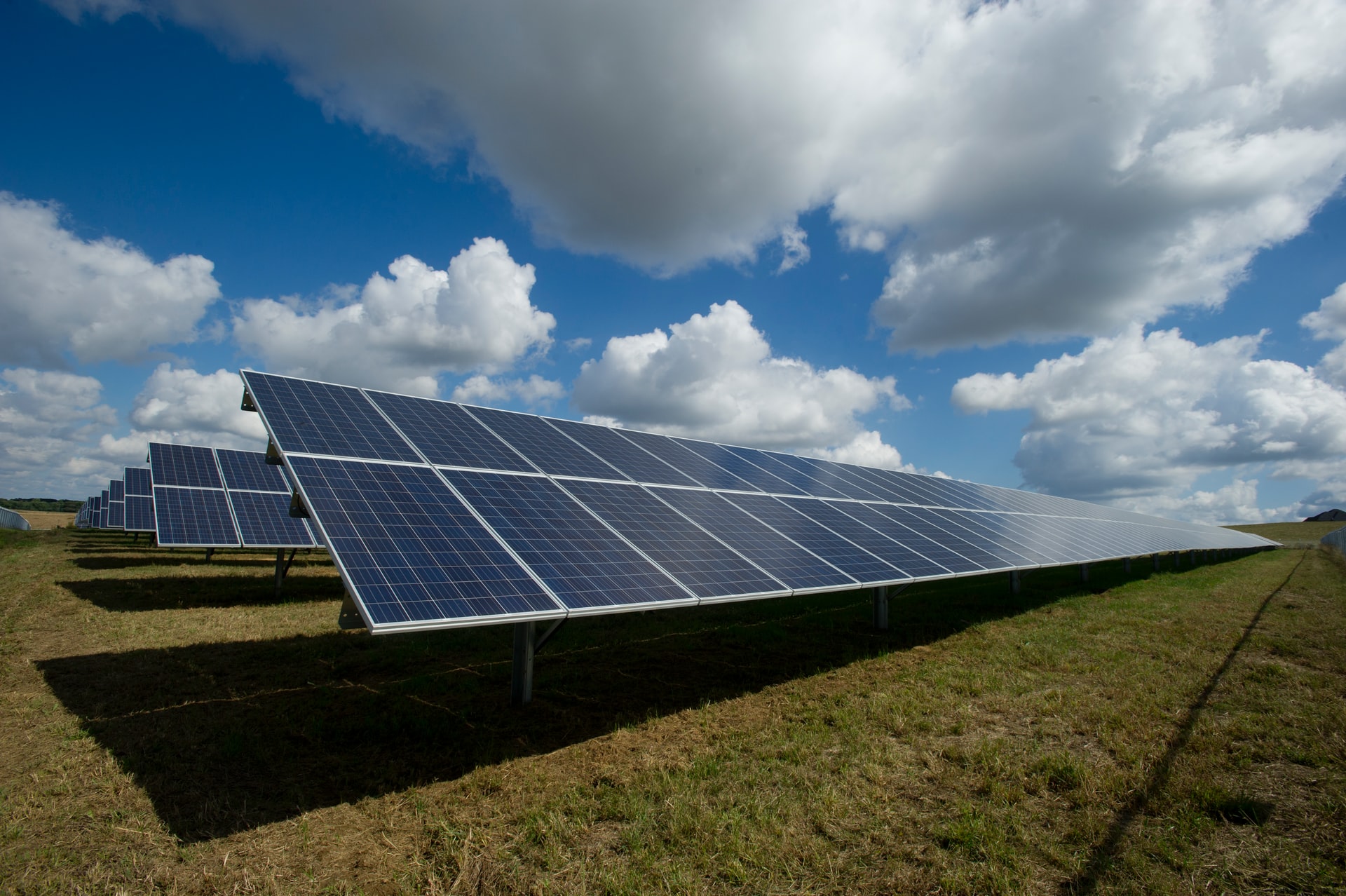 Solar panels on a green field, photo by American Public Power Association on Unsplash 