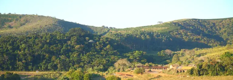 Fazenda Recanto coffee farm © Rainforest Alliance