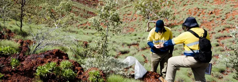 Geologists Sampling Rocks © Adwo, Adobe stock