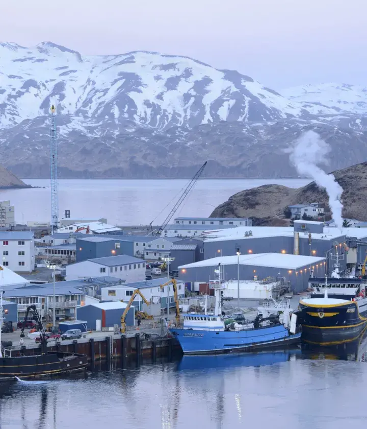 Alaskan pollock © credit Mark Meyer 6