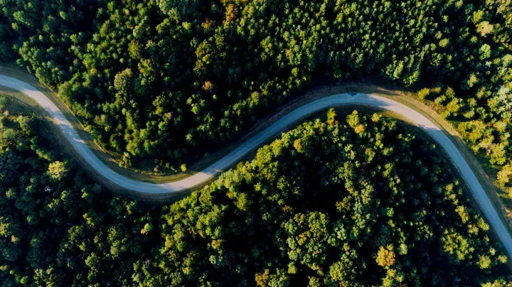 Winding road through a forest