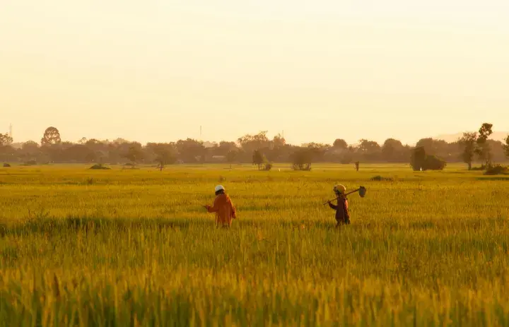 farming in field