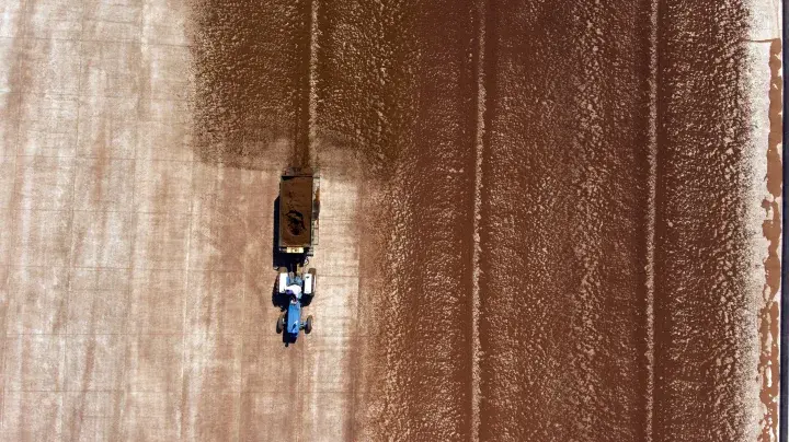 Rooibos seen from a drone in South Africa © Giuseppe Cipriani for UTZ