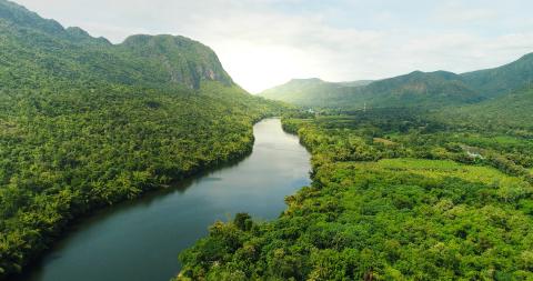 River and landscape