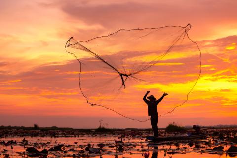 Fisherman's net