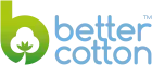 BCI Logo