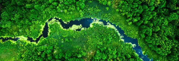 Blooming green algae in river, aerial view